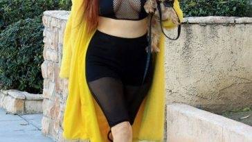 Phoebe Price Takes Her Dog Out For a Morning Walk in Los Angeles - Los Angeles on justmyfans.pics